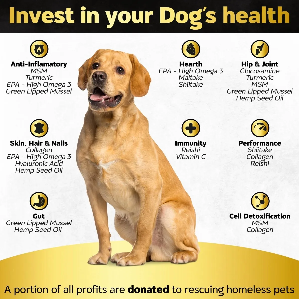 90 Hip and Joint Chews    Skin and Coat Supplement