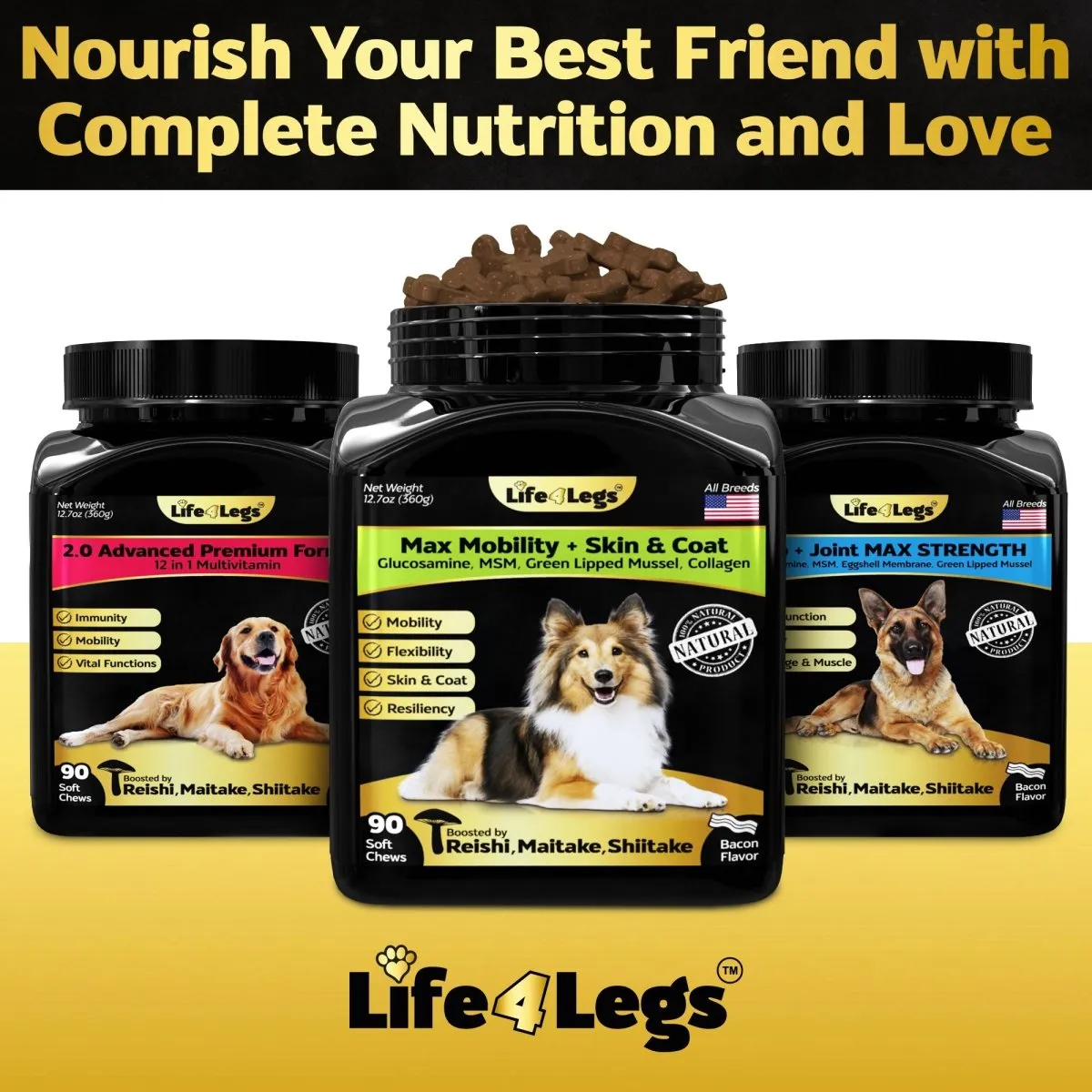 90 Hip and Joint Chews    Skin and Coat Supplement