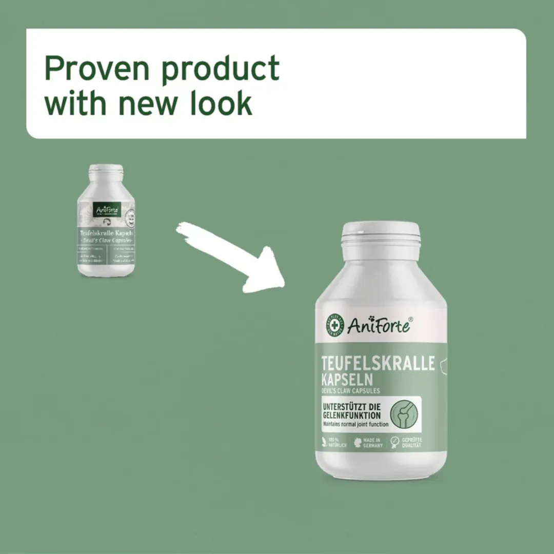 AniForte Devil's Claw Capsules