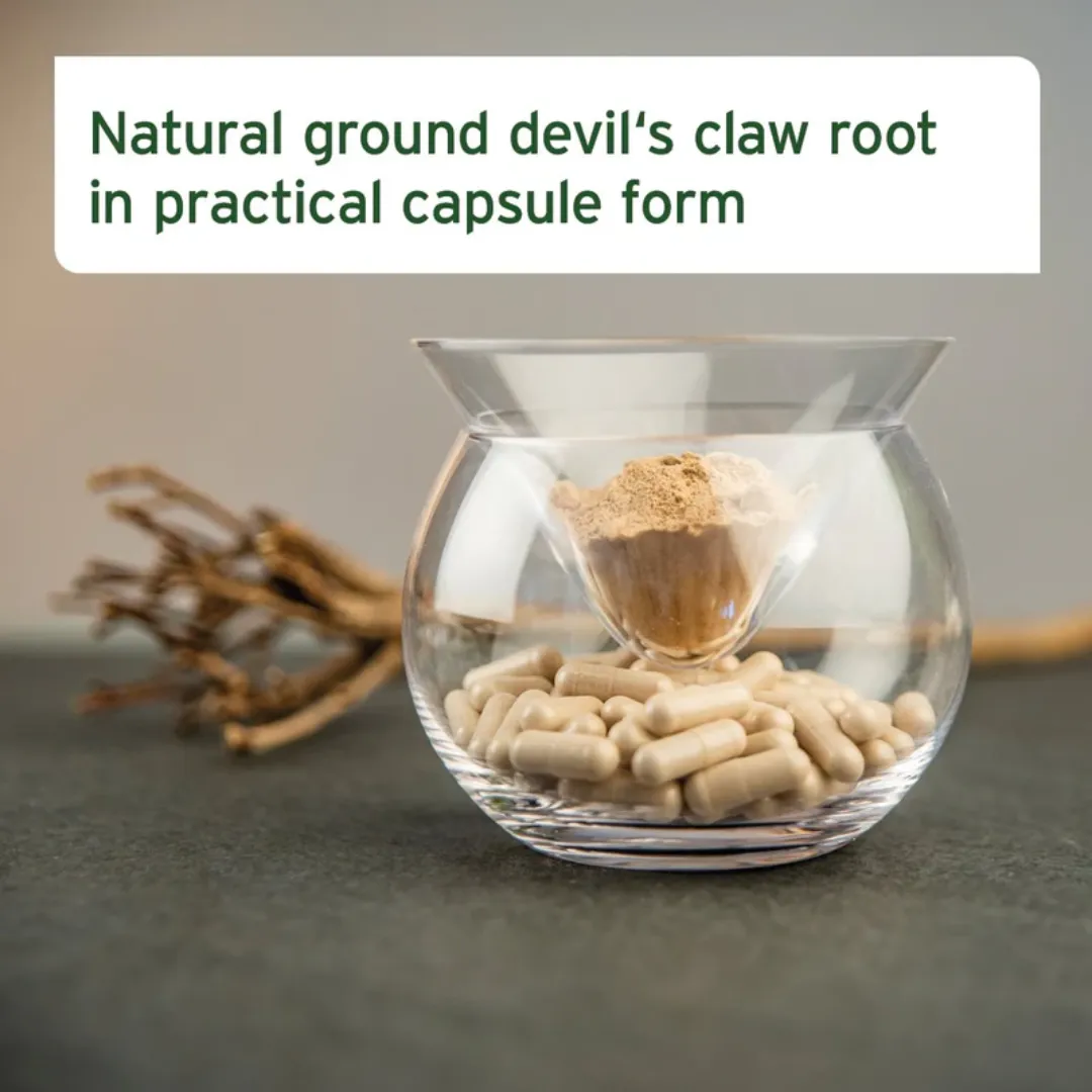 AniForte Devil's Claw Capsules
