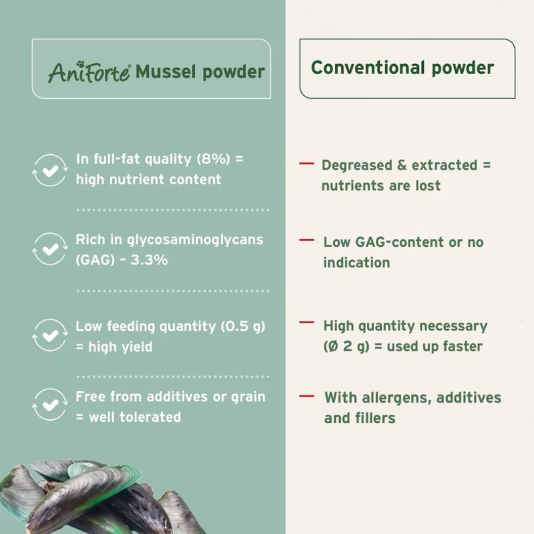 AniForte Green Lipped Mussel Powder