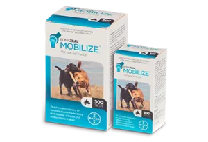 Bomazeal Mobilize Supplement for Pets