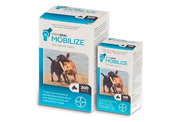 Bomazeal Mobilize Supplement for Pets