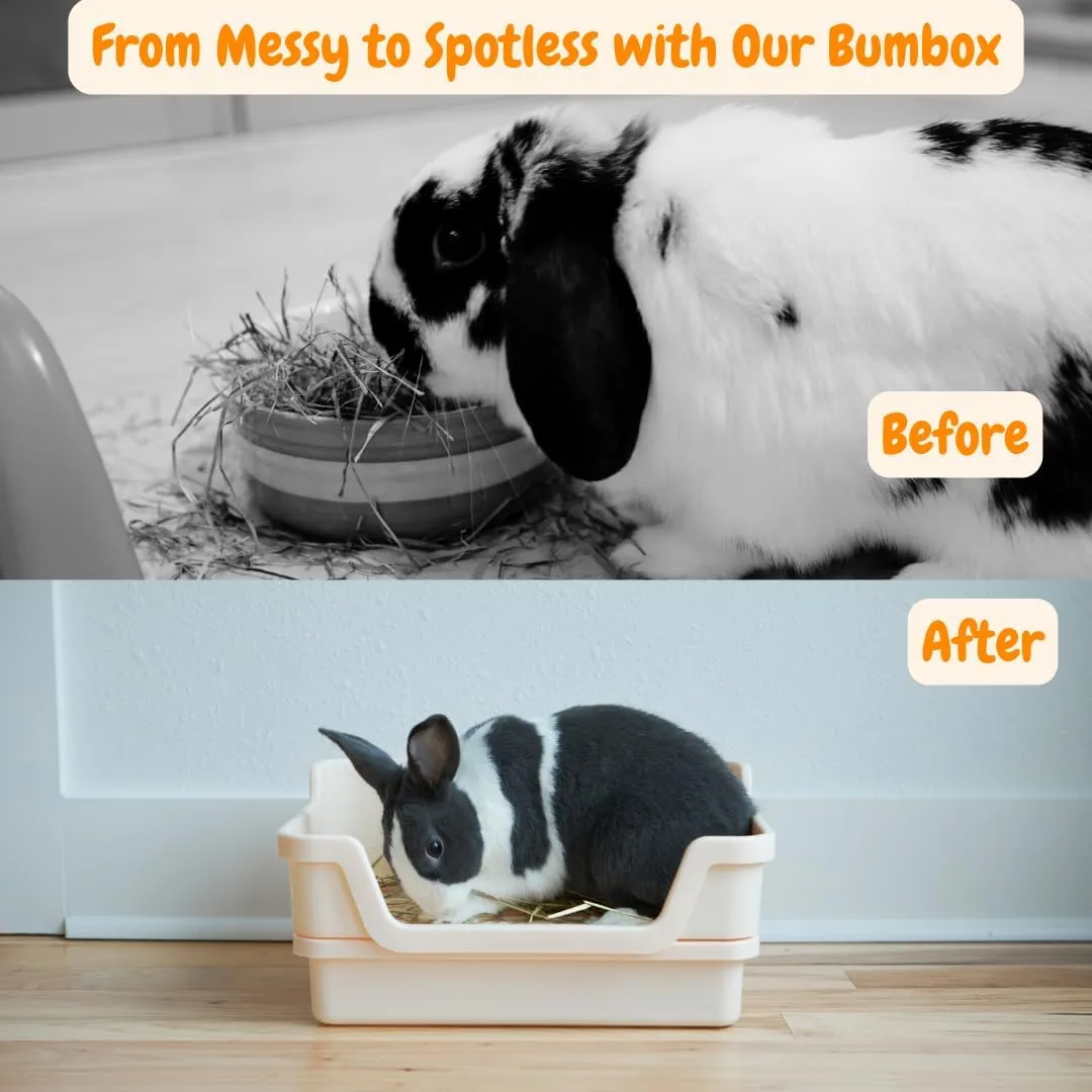 Bumbox Rabbit Large Litter Box w/Plastic Grid Safe for Bunny feet - Training Rabbit Cage Indoor or Outdoor for Small and Large Animal, 15.75in -Cream