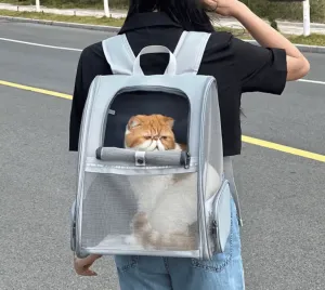 Cat Backpack Harness & Carrier - Airline Approved, Foldable Travel Bag for Cats & Puppies