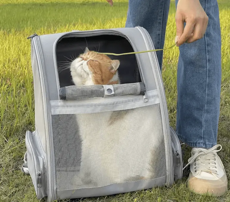 Cat Backpack Harness & Carrier - Airline Approved, Foldable Travel Bag for Cats & Puppies