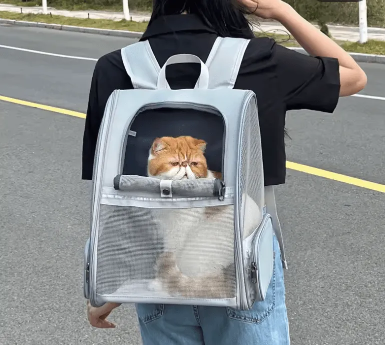 Cat Backpack Harness & Carrier - Airline Approved, Foldable Travel Bag for Cats & Puppies
