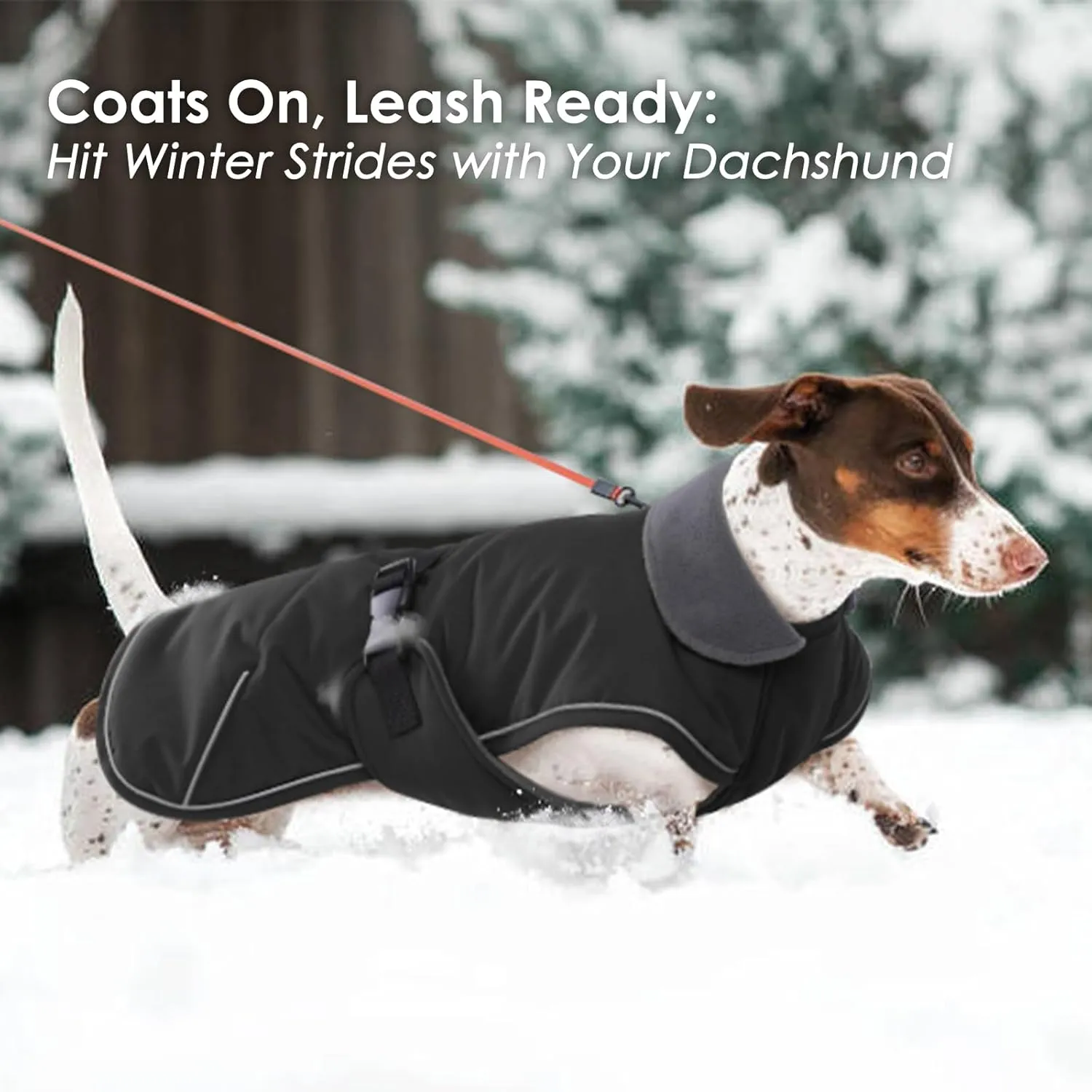 Dog Coat - Perfect for Dachshunds, Black, Large - Waterproof Winter Coat with Fleece Lining, Built-in Harness, Adjustable Closure