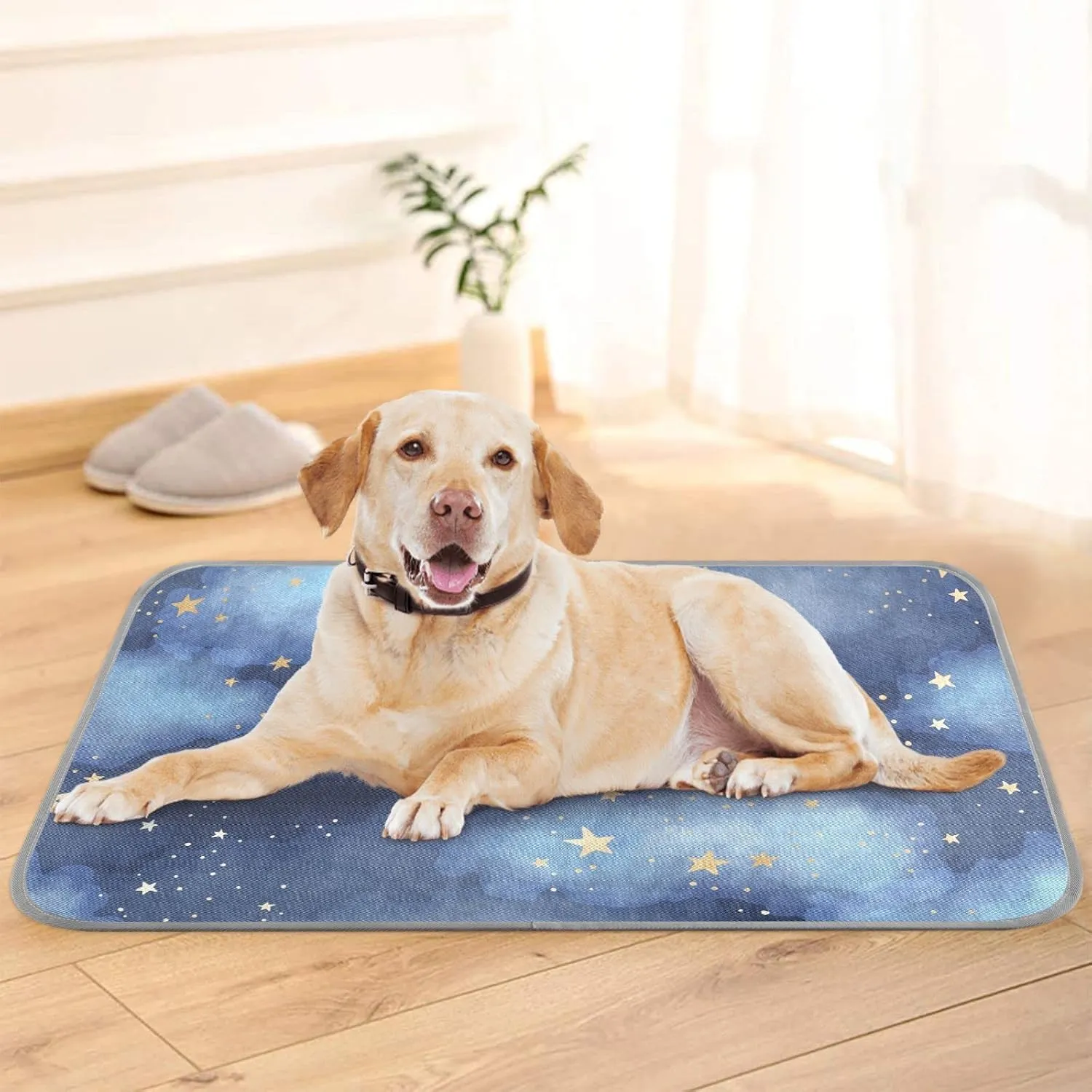 Dog Cooling Mat Ice-Cold Pad for Cat Medium Pet Summer Sleeping Mat Cute Travel Cooling Fiber Cool Down Breathable Comfortable Folding Storage Star