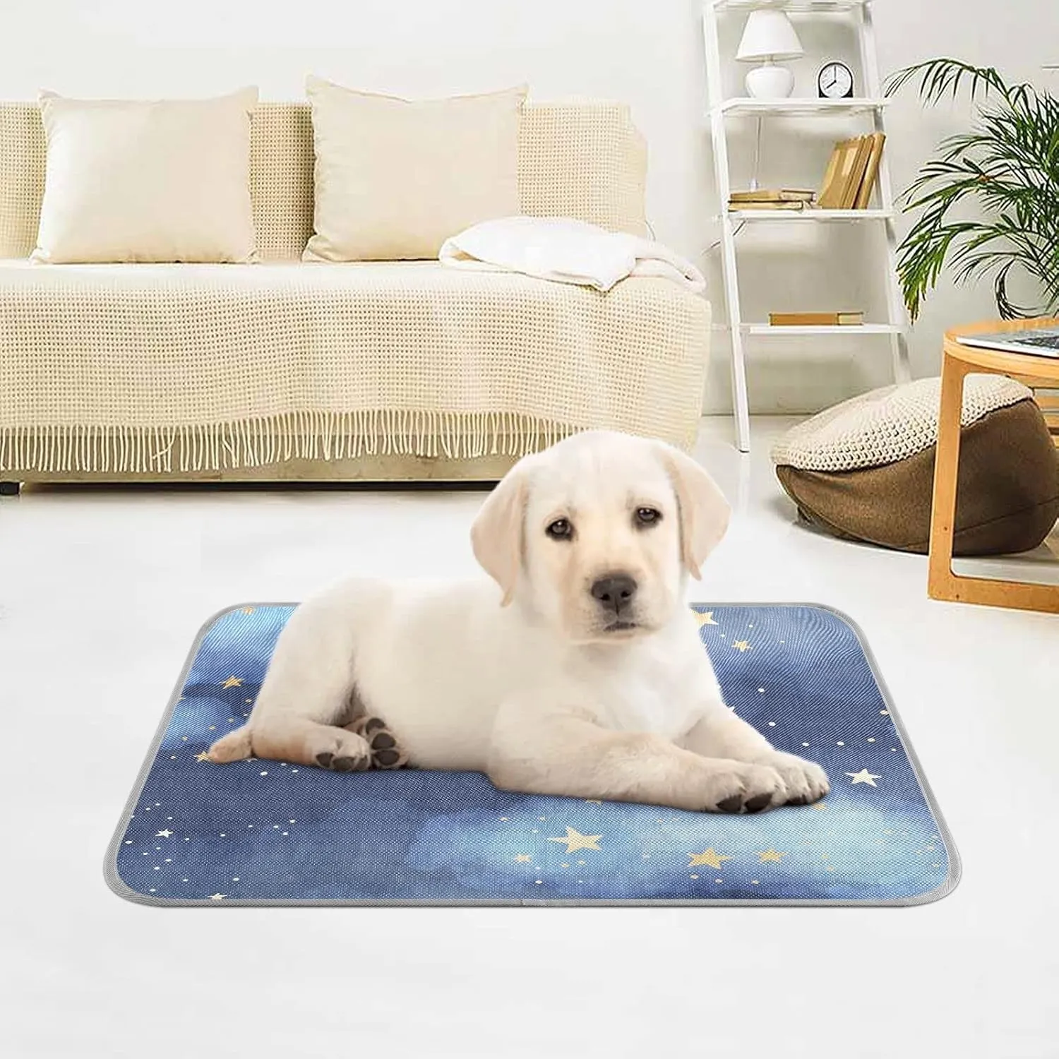 Dog Cooling Mat Ice-Cold Pad for Cat Medium Pet Summer Sleeping Mat Cute Travel Cooling Fiber Cool Down Breathable Comfortable Folding Storage Star