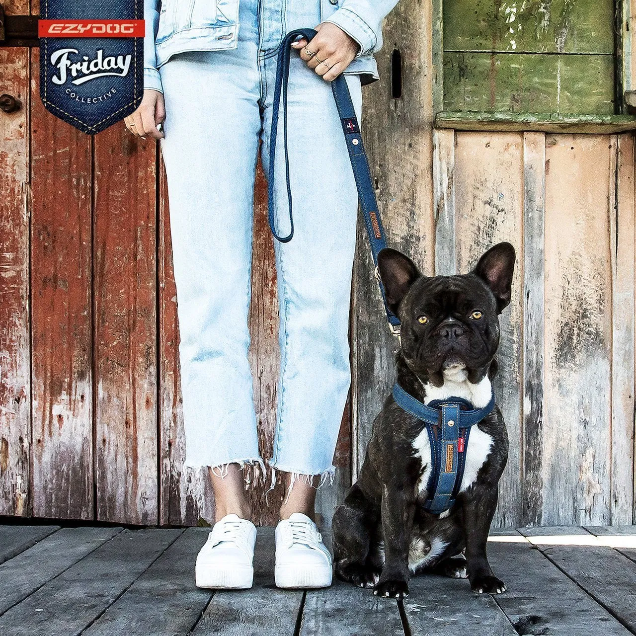 EzyDog Chestplate Dog Harness Denim Extra Large^^^