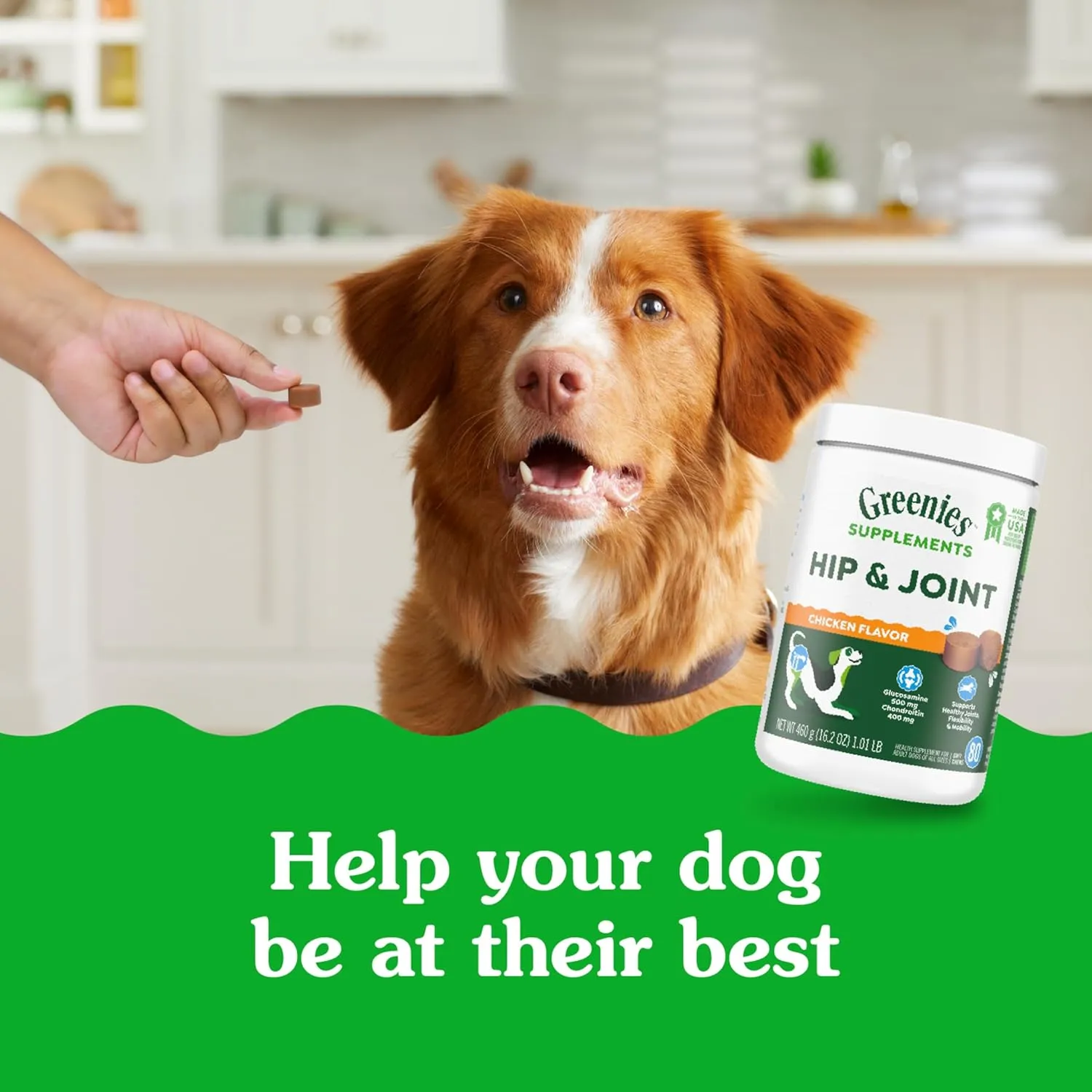 Greenies Supplements Hip and Joint Supplements for Dogs, Chicken Flavor, 6.08 oz. 30-Count