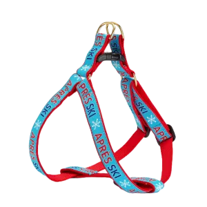 Harness | Après Ski