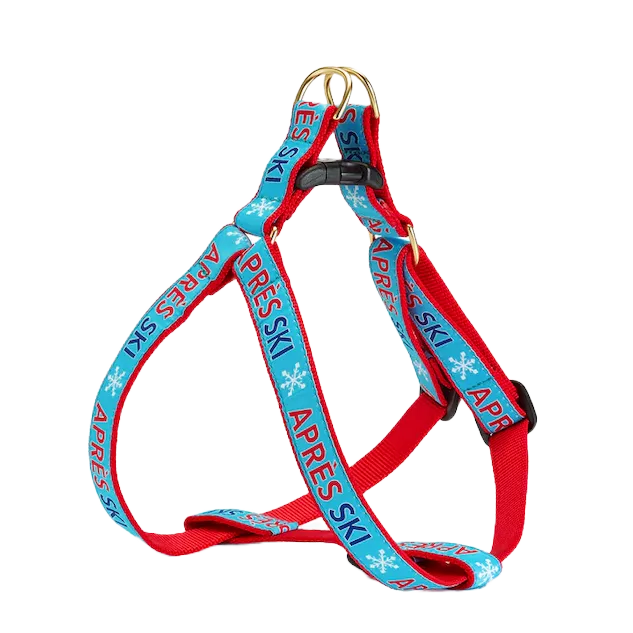 Harness | Après Ski