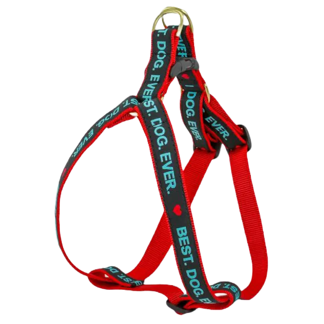 Harness | Best. Dog. Ever.