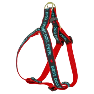 Harness | Best. Dog. Ever.