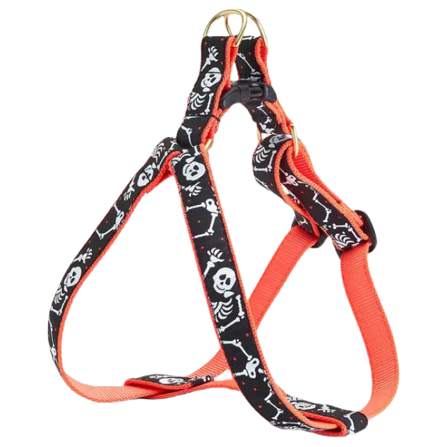 Harness | Bone Jangles
