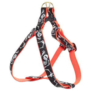 Harness | Bone Jangles
