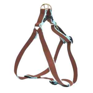 Harness | Brown & Aqua