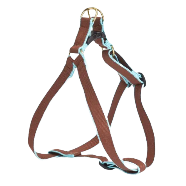 Harness | Brown & Aqua