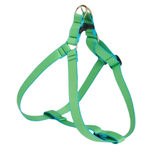 Harness | Lime & Aqua