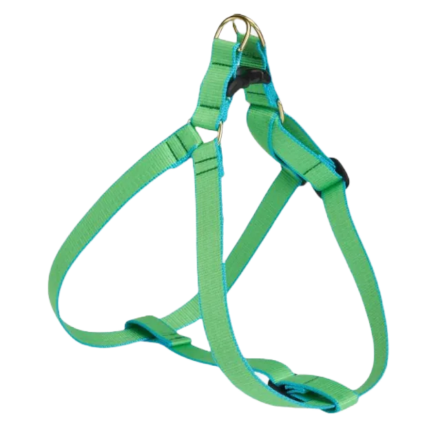 Harness | Lime & Aqua