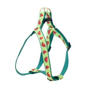 Harness | One In A Melon