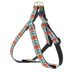 Harness | Orange You Pretty