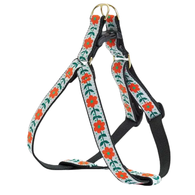 Harness | Orange You Pretty