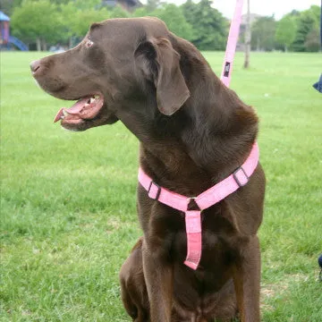 Hemp Dog Harness PINK Corduroy |The Good Dog Company