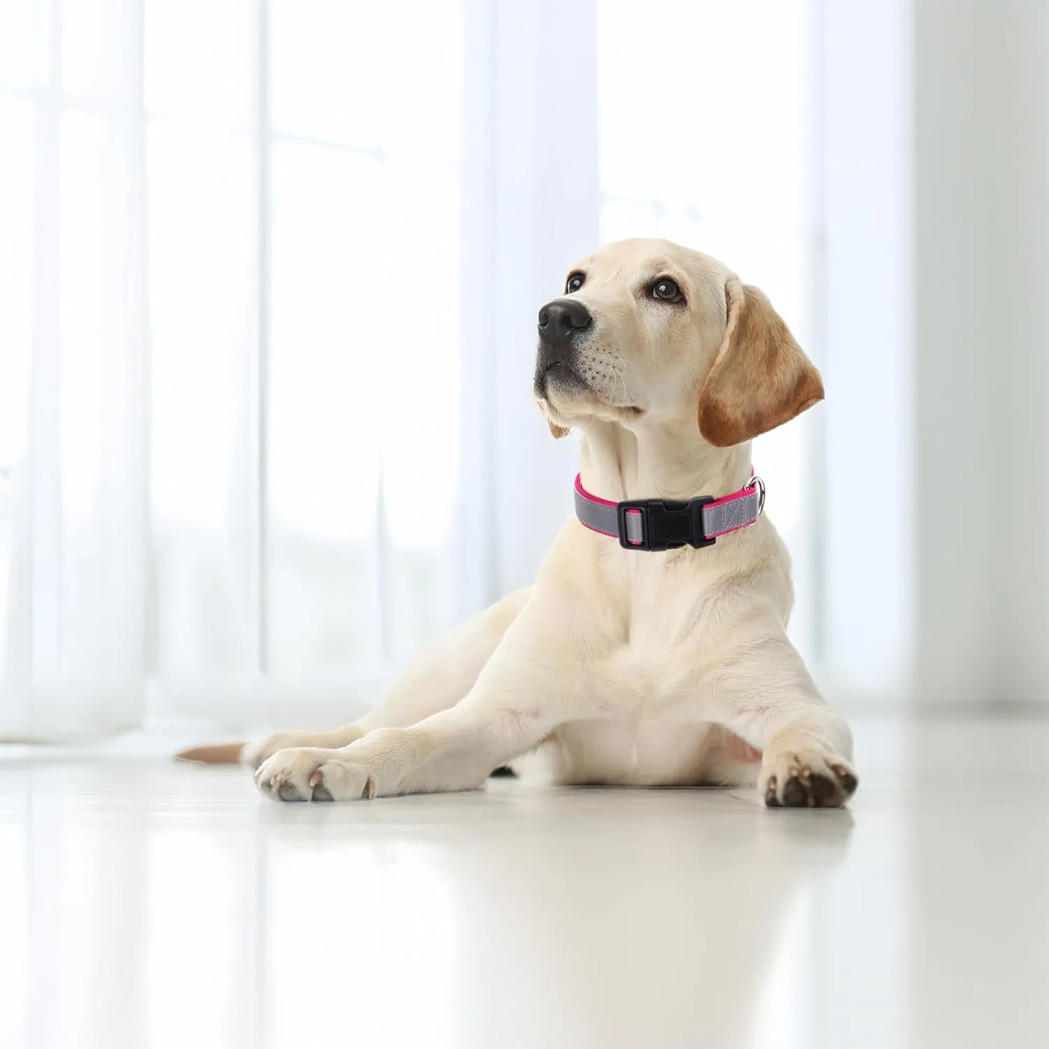 Highly Reflective Dog Collar, Adjustable Nylon Basic Collar Quick Release Buckle (Large,17"-26" Rose Red)