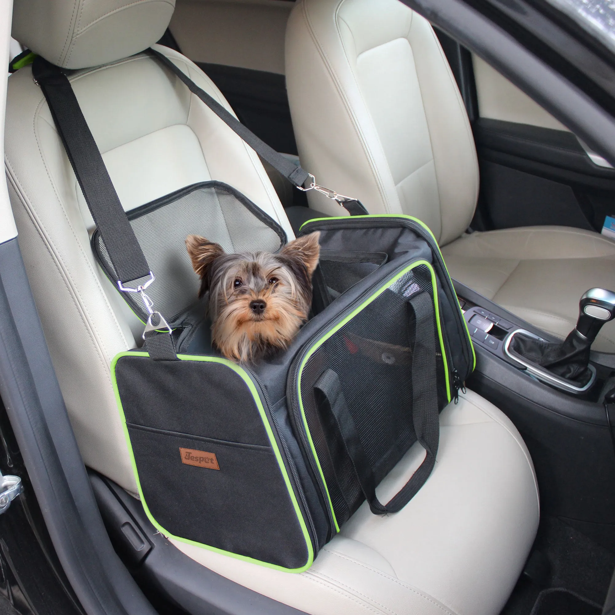 Jespet Soft-Sided Travel Small Dog & Cat Carrier Bag, Black/Green, 17''