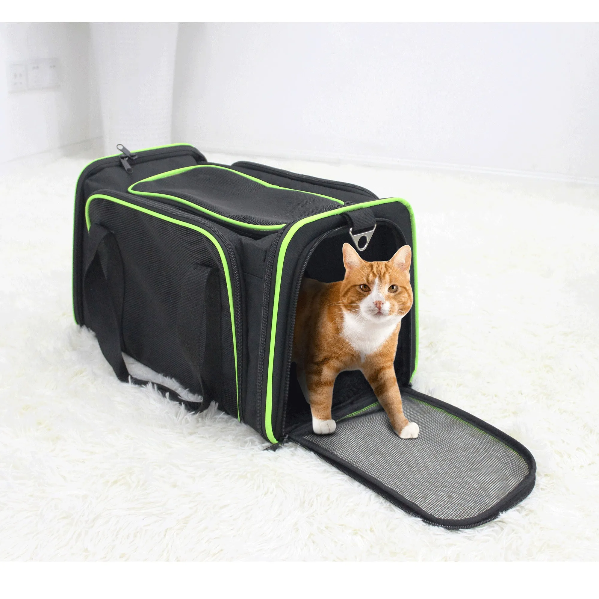 Jespet Soft-Sided Travel Small Dog & Cat Carrier Bag, Black/Green, 17''