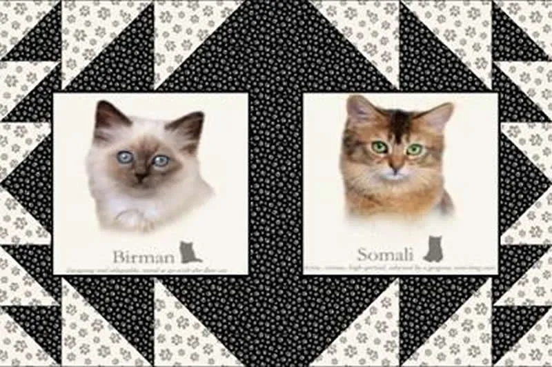Kennel Quilts for Kitties Pattern PS-908w  - Wholesale Product