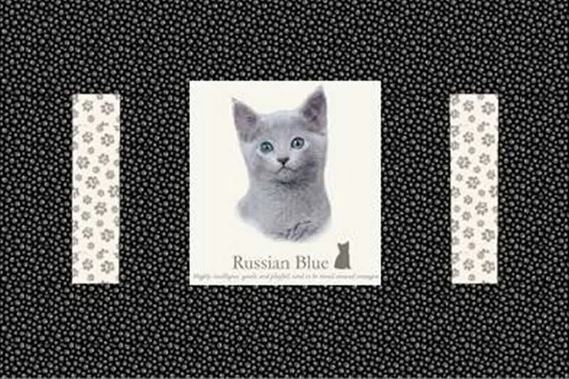 Kennel Quilts for Kitties Pattern PS-908w  - Wholesale Product