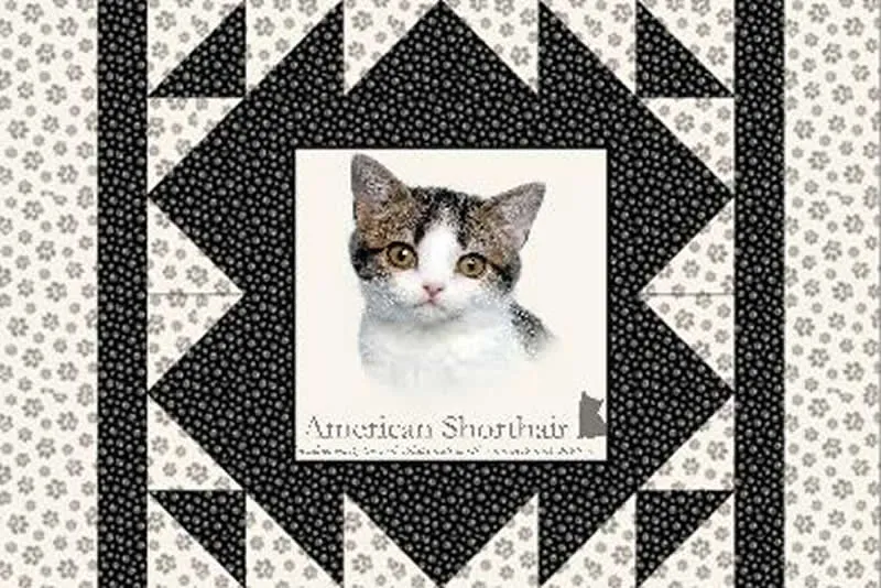 Kennel Quilts for Kitties Pattern PS-908w  - Wholesale Product