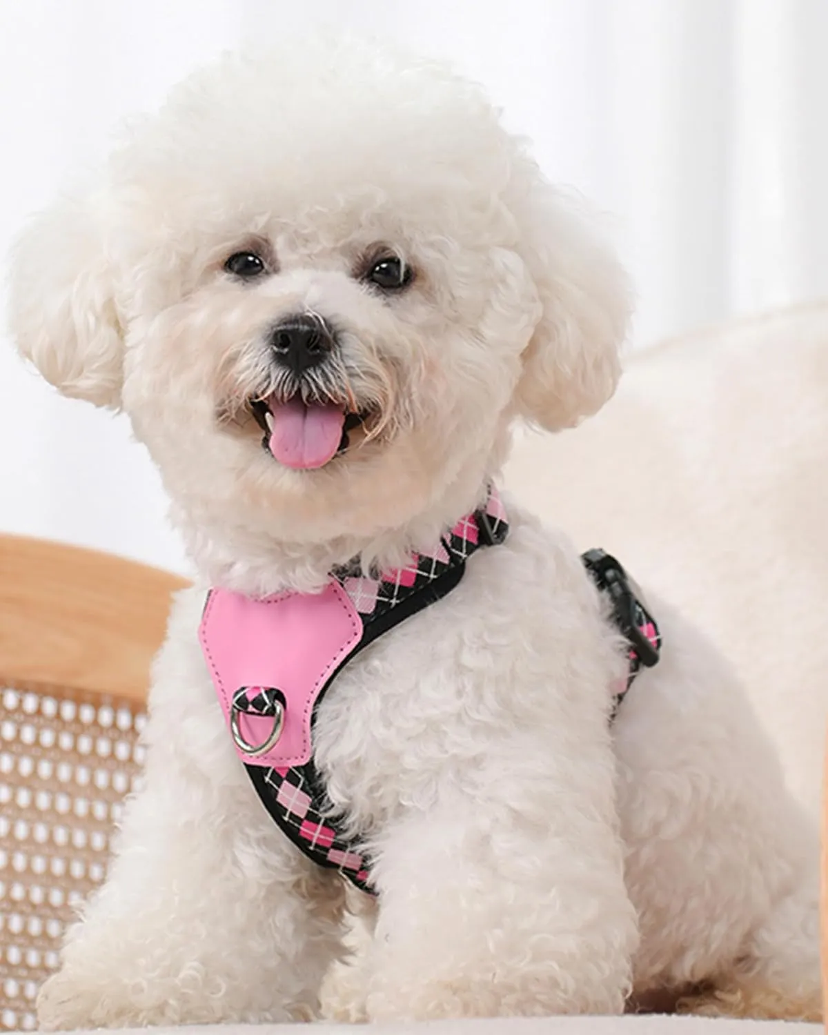 Petank Black Small Dog Harness for Small Dogs, No Pull Dog Harness with 2 Leash Clips, Puppy Harness, Adjustable Dog Vest Harness (Black, S)