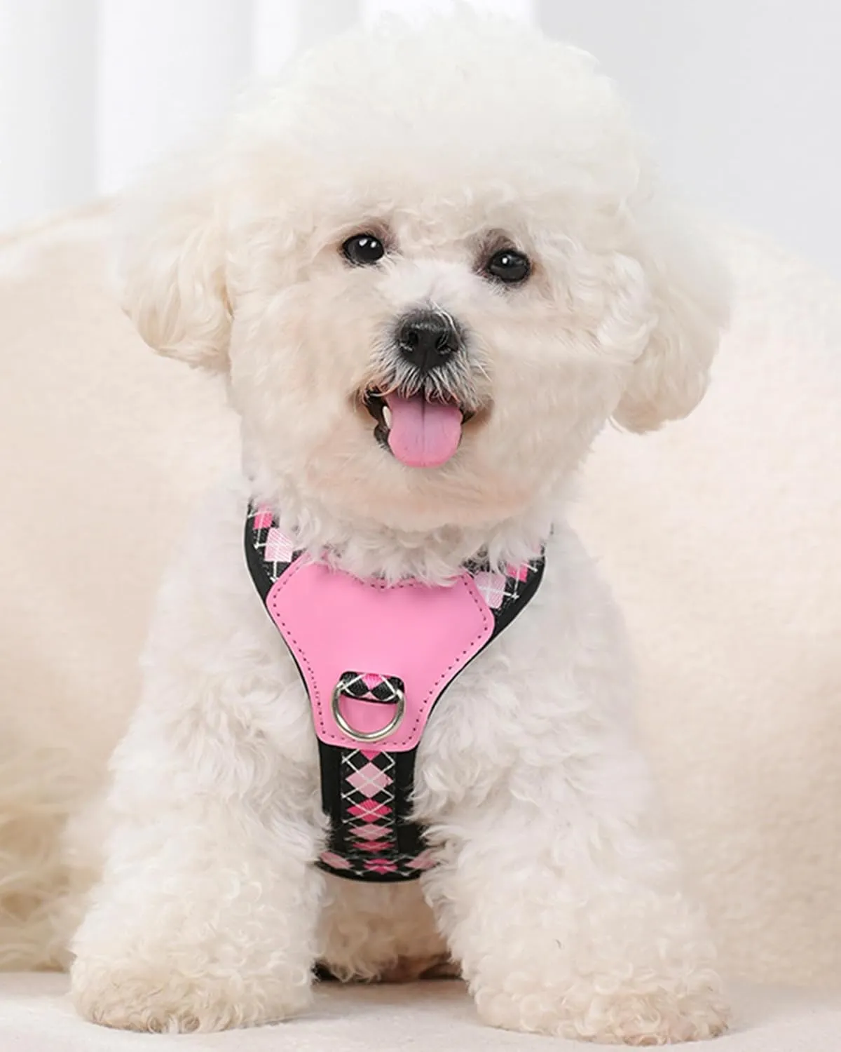 Petank Black Small Dog Harness for Small Dogs, No Pull Dog Harness with 2 Leash Clips, Puppy Harness, Adjustable Dog Vest Harness (Black, S)