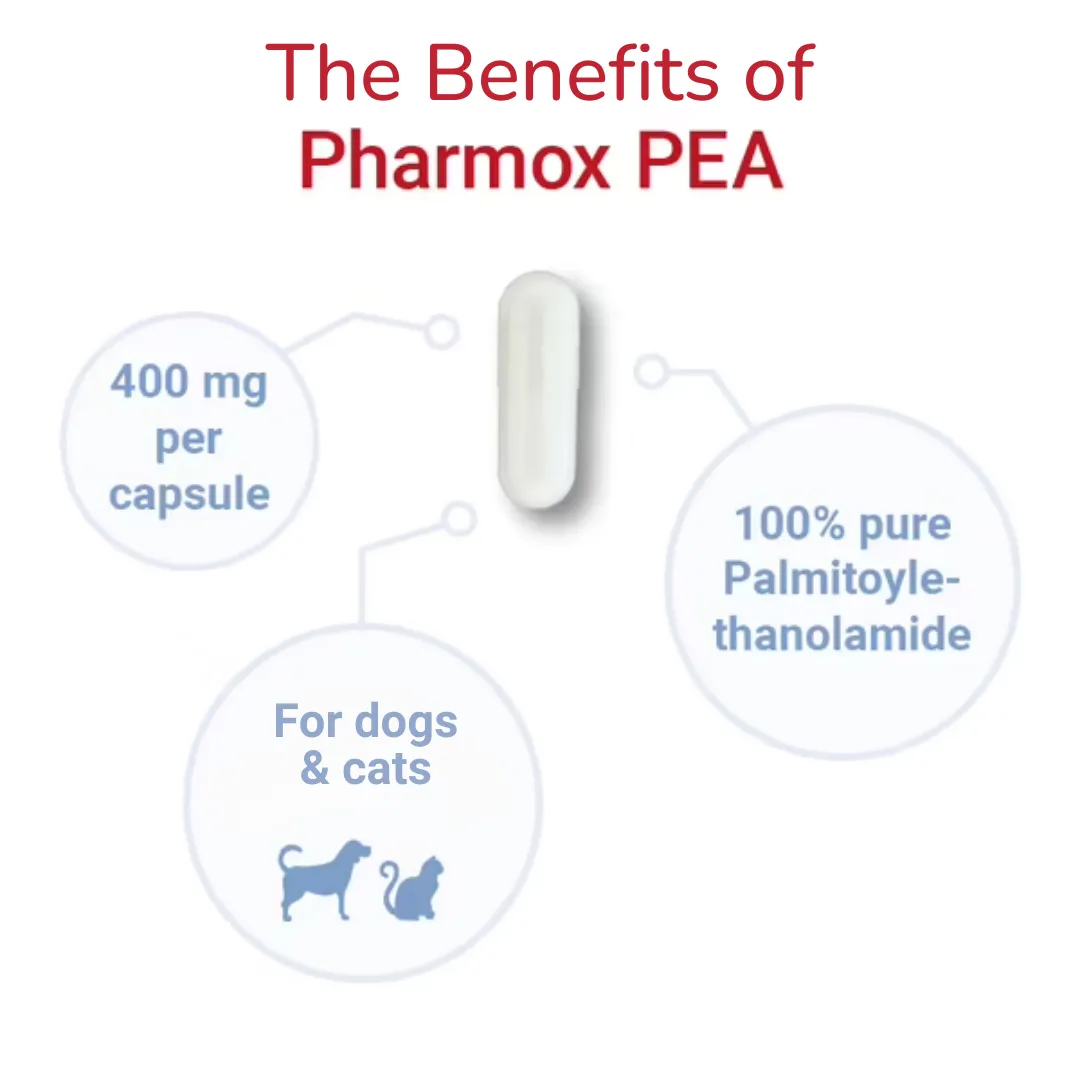Pharmox 100% Pure PEA (Palmitoylethanolamide)