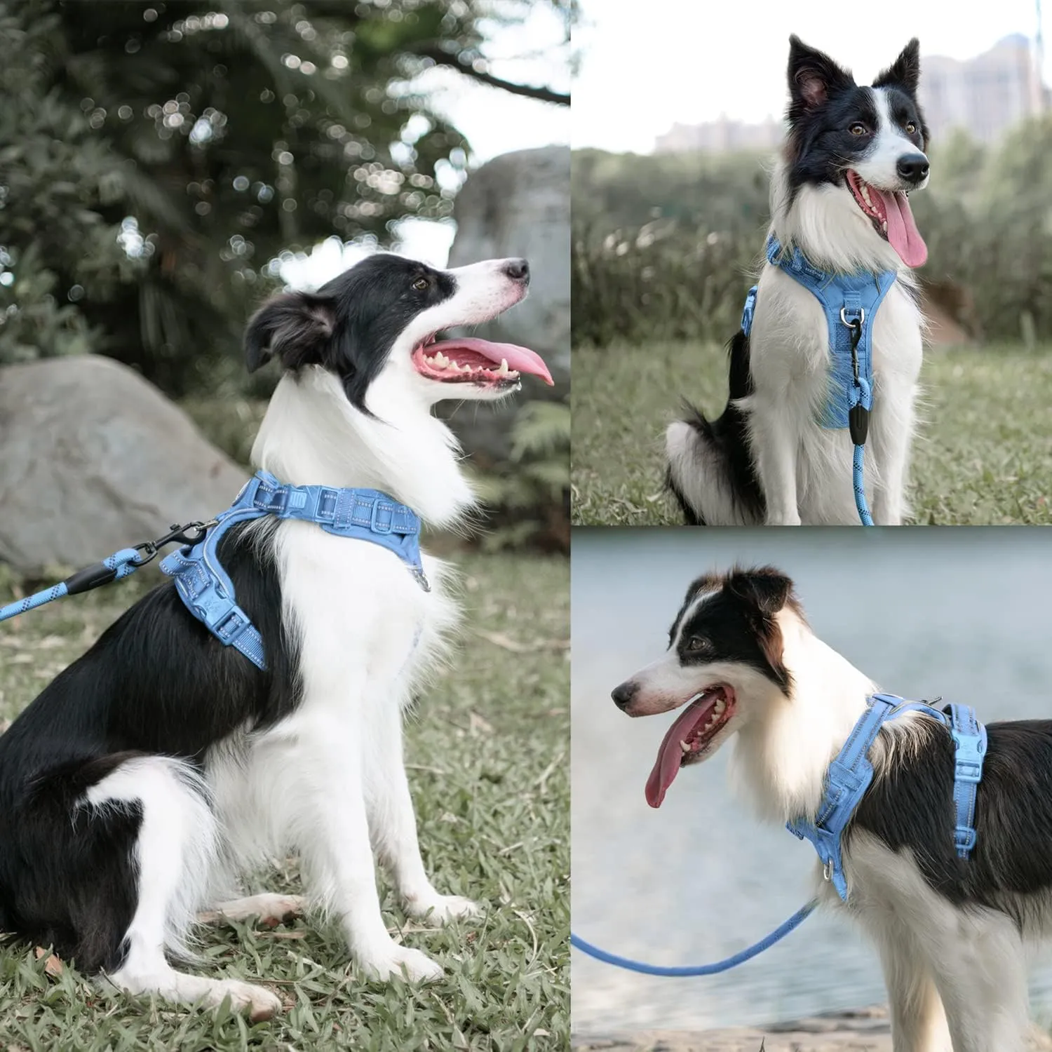 PoyPet No Pull Dog Harness and 5 Feet Leash Set, Release on Neck Reflective Adjustable Pet Vest, Front & Back 2 D-Ring and Soft Padded Pet Harness with Handle for Small to Large Dogs(Light Blue,L)