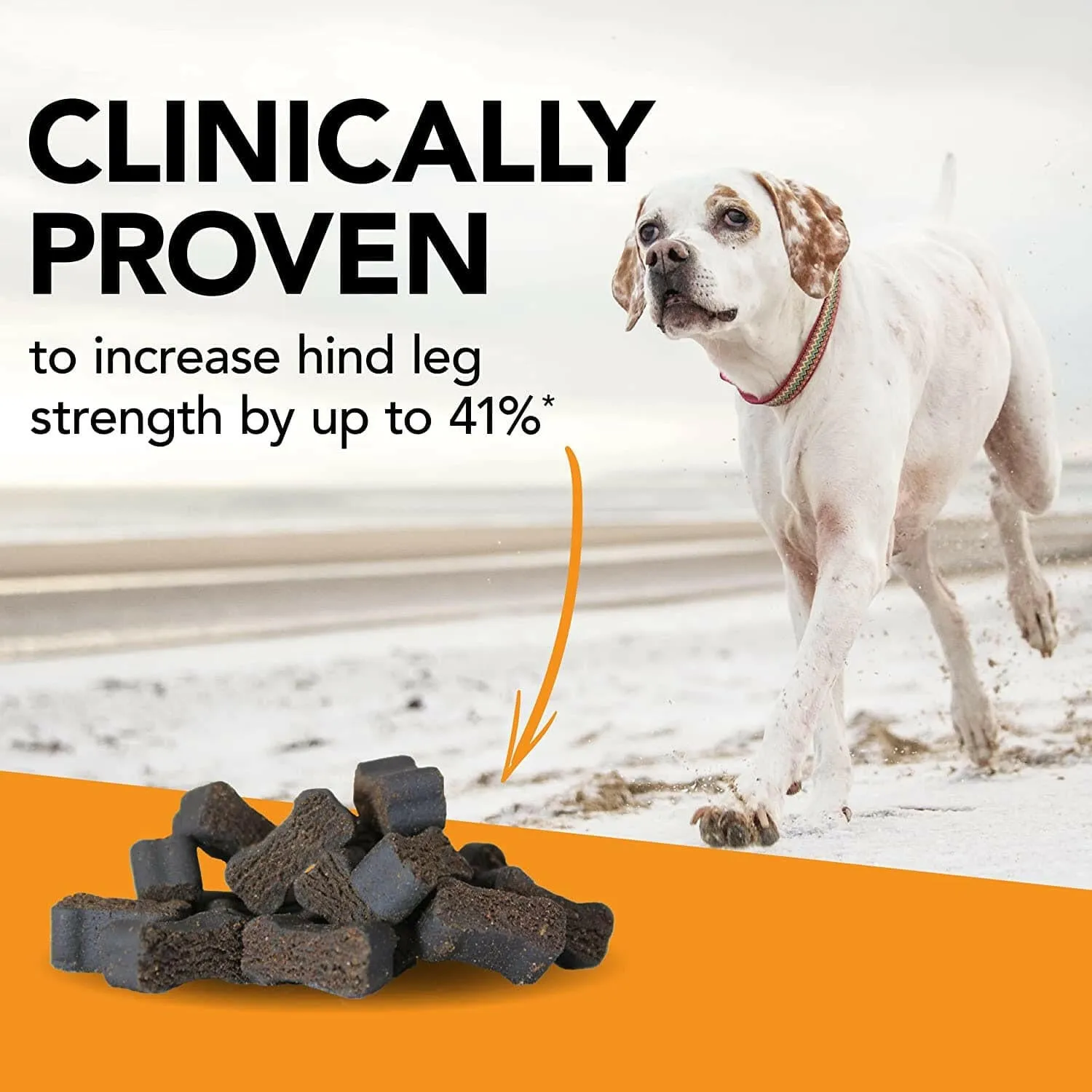 VetriScience GlycoFlex 3 Joint Supplement for Small Dogs (60 soft chews)