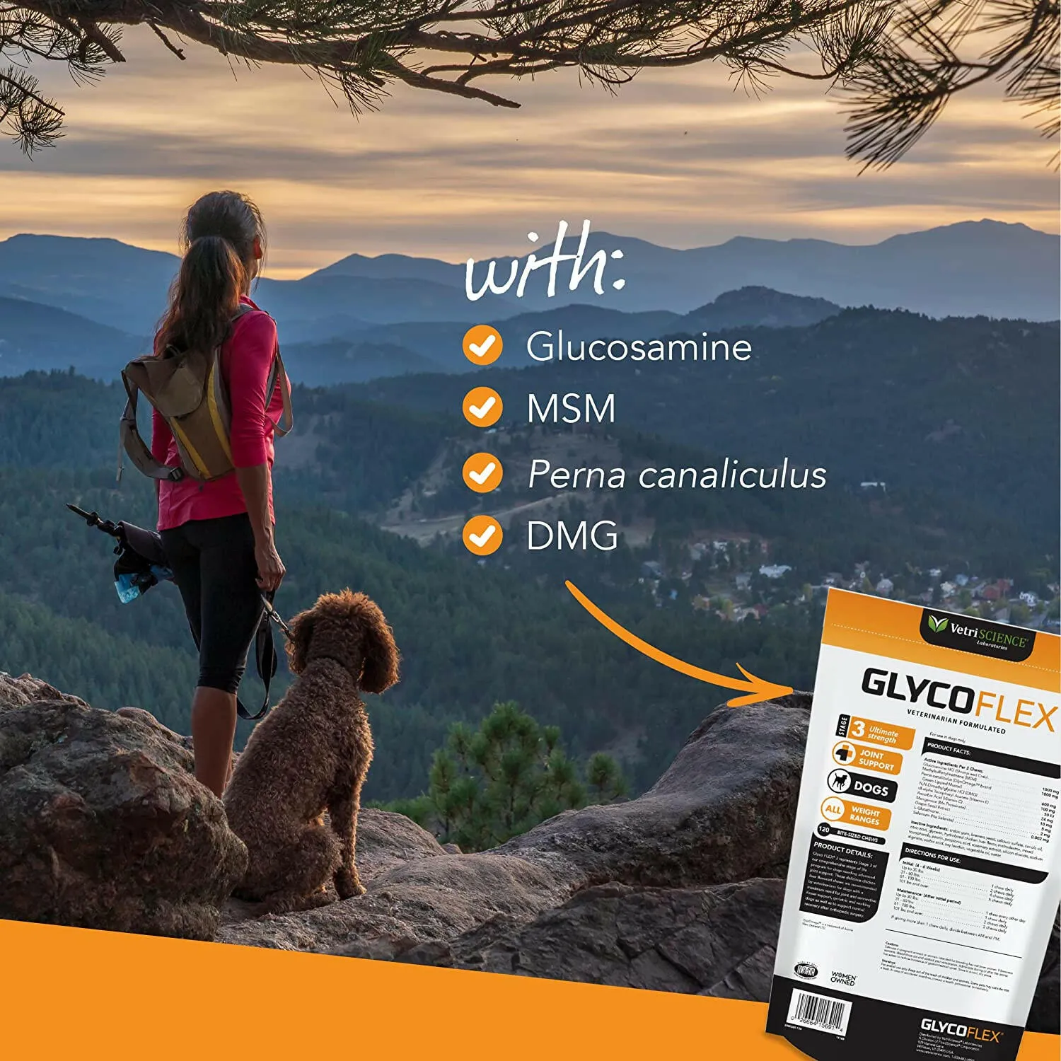 VetriScience GlycoFlex 3 Joint Supplement for Small Dogs (60 soft chews)