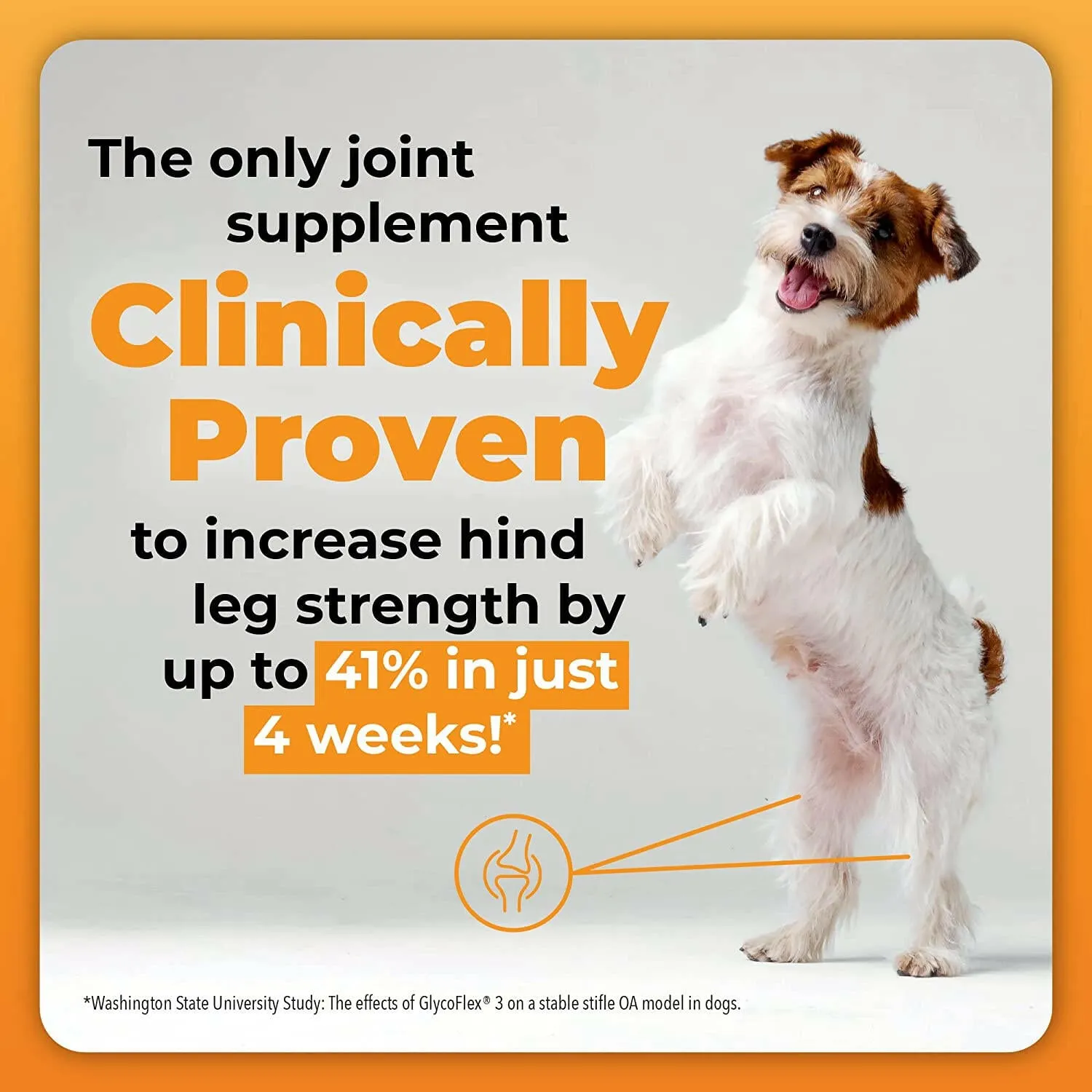 VetriScience GlycoFlex Plus Soft Chews for Dogs Duck Flavor